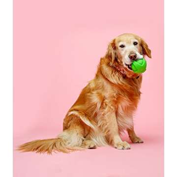 Hartz DuraPlay Bacon Scented Dog Toys, Large 1 Count