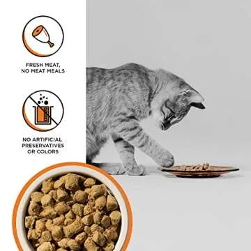 BIXBI Rawbble Freeze Dried Cat Food, Chicken Recipe, 10 oz - 95% Meat and Organs, No Fillers - Pantry-Friendly Raw Cat Food for Meal, Treat or Food Topper - USA Made in Small Batches