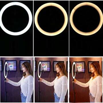 Fealay LED Ring Light Kit with Phone Holder & Adjustable Tripod