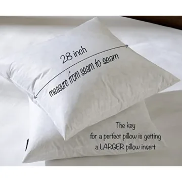 Basic Home 28x28 Euro Down Pillow Insert for Comfort