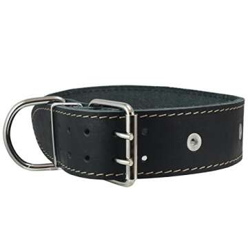 Black Leather Studded Dog Collar for Large Breeds