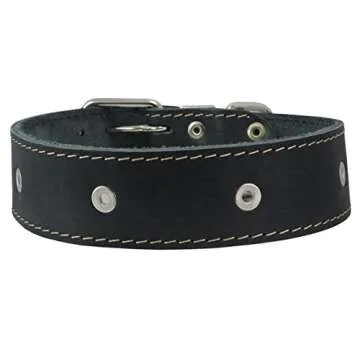 Black Leather Studded Dog Collar for Large Breeds