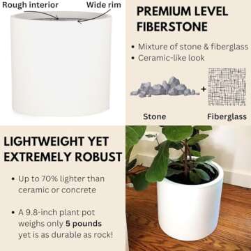 Fox & Fern 10 Inch Plant Pot with Drainage Plug — Premium Lightweight Fiberstone Matte White Plant...