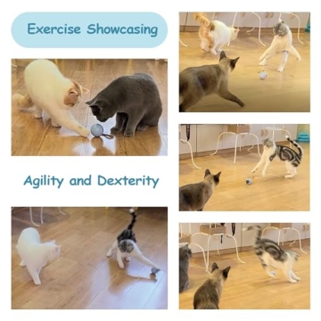 Migipaws Interactive Cat Ball Toy Set for Playful Cats