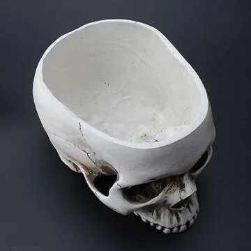 Skull Flower Pot for Unique Home Decor