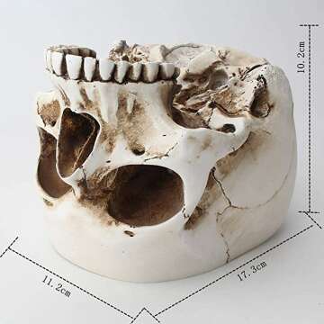 Skull Flower Pot for Unique Home Decor