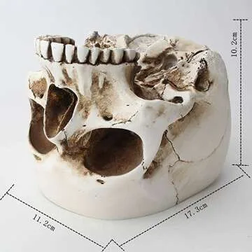 Skull Flower Pot for Unique Home Decor