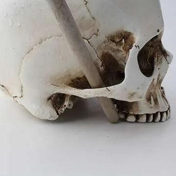 Skull Flower Pot for Unique Home Decor