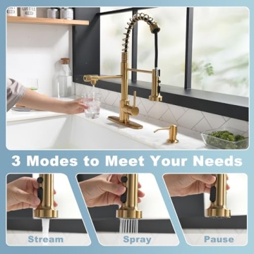 Shop GIMILI 3-in-1 Brushed Gold Kitchen Faucet Today