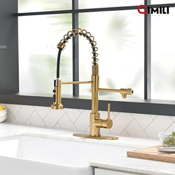 Shop GIMILI 3-in-1 Brushed Gold Kitchen Faucet Today