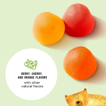 Mama Bear Organic Kids Multivitamin Gummies 60 Count