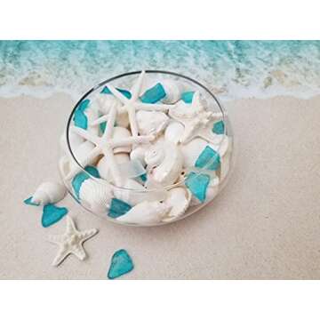 Tumbler Home Natural Sea Shells & Starfish Set – 1.5 lbs for Crafting & Decor