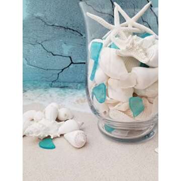 Natural Sea Shells & Starfish Decor | 1.5 lbs Assorted | DIY