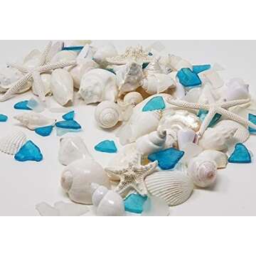 Natural Sea Shells & Starfish Decor | 1.5 lbs Assorted | DIY