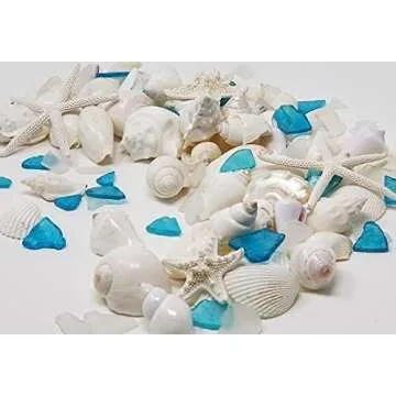 Natural Sea Shells & Starfish Decor | 1.5 lbs Assorted | DIY