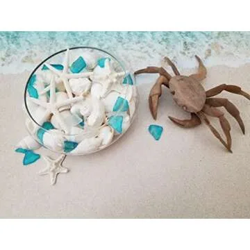 Natural Sea Shells & Starfish Decor | 1.5 lbs Assorted | DIY