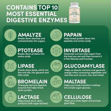 Digestive Enzymes - 800mg Blend of All 10 Most Essential Digestive and Pancreatic Enzymes (Amylase, Lipase, Bromelain, Lactase, Papain, Protease, Cellulase, Maltase, Invertase) by Double Wood