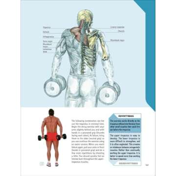 The Strength Training Anatomy Workout: Starting Strength with Bodyweight Training and Minimal Equipment
