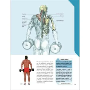 The Strength Training Anatomy Workout: Starting Strength with Bodyweight Training and Minimal Equipment