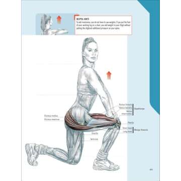 The Strength Training Anatomy Workout: Starting Strength with Bodyweight Training and Minimal Equipment