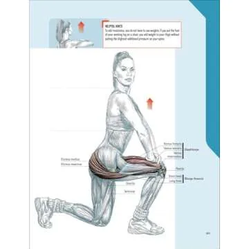 The Strength Training Anatomy Workout: Starting Strength with Bodyweight Training and Minimal Equipment