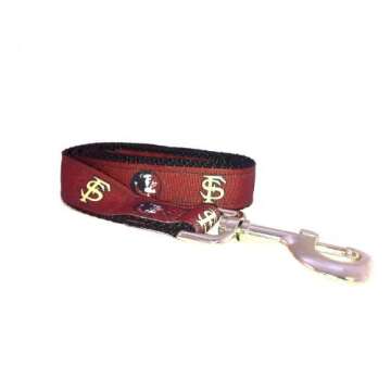 Official NCAA Florida State Seminoles Dog Leash - Team Color, Large