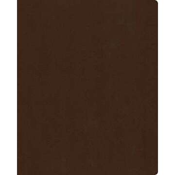 The One Year Bible Reflections NLT - Engage with Scripture Daily!