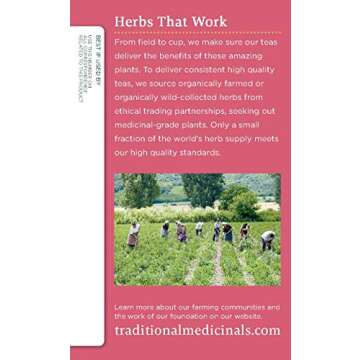 Traditional Medicinals Organic Pregnancy Tea Raspberry Leaf Herbal Tea, Supports Healthy Pregnancy, (Pack of 1) - 16 Tea Bags