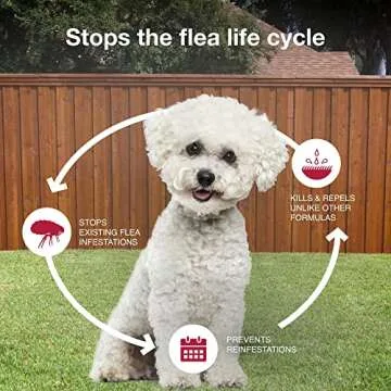 K9 Advantix II Small Dog Vet-Recommended Flea, Tick & Mosquito Treatment & Prevention | Dogs 4-10 lbs. | 8-Mo Supply