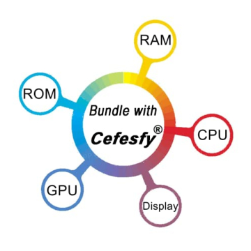 Dell Inspiron 15 Business Laptop - Ryzen 5 2024