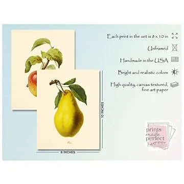 Vintage Fruit Art Prints - Set of 6 Kitchen Botanical Prints - Unframed 8x10 for Home Decor