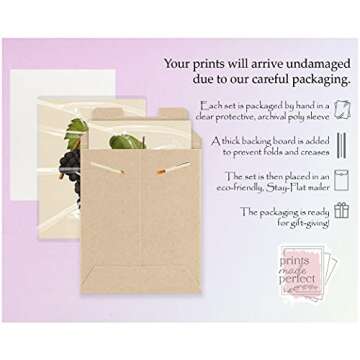 Vintage Fruit Art Prints - Kitchen Botanical Prints - (Set of 6) - Farmhouse Wall Pictures - Unframed (8x10)