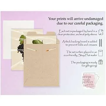 Vintage Fruit Art Prints - Kitchen Botanical Wall Decor