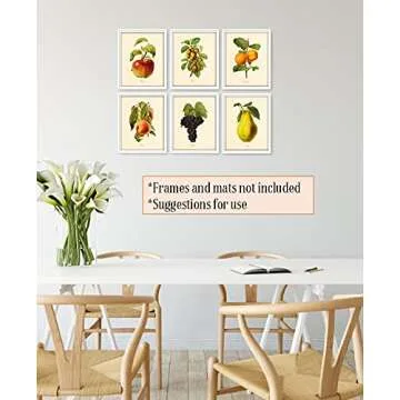 Vintage Fruit Art Prints - Kitchen Botanical Wall Decor