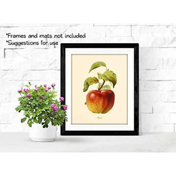 Vintage Fruit Art Prints - Kitchen Botanical Prints - (Set of 6) - Farmhouse Wall Pictures - Unframed (8x10)