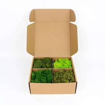 Amoueterno Preserved Moss 4 Color Reindeer Moss DIY Kit - 14OZ Total, Natural Green Craft Supplies f...