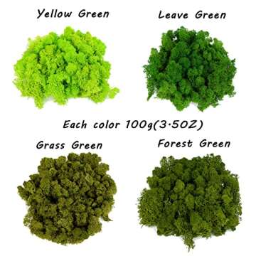 Amoueterno 4 Color Reindeer Moss DIY Kit - 14OZ
