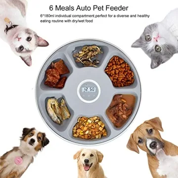 Smart 6-Meals Automatic Cat Feeder, Programmable & USB Power