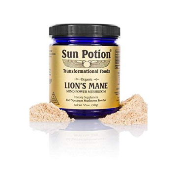Organic Lion's Mane Mushroom Powder for Memory Focus
