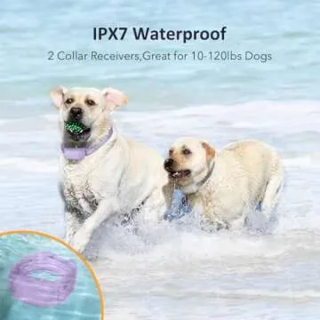 PATPET Shock Collar for Dogs 10-120lbs Waterproof 4000ft Rechargeable