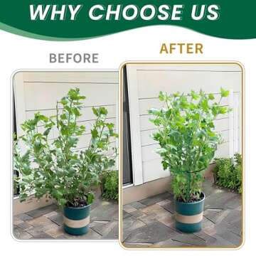 Durable Garden Support Stakes for Peonies, Tomatoes & More