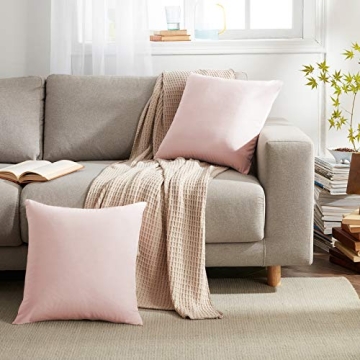 WAYIMPRESS Soft Velvet Pillow Covers, Pack of 2