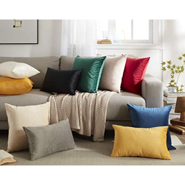 WAYIMPRESS Soft Velvet Pillow Covers, Pack of 2