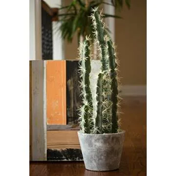 Nearly Natural Cactus Garden with Cement Planter - 27.5"