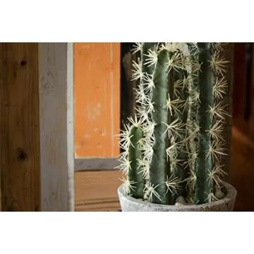 Nearly Natural Cactus Garden with Cement Planter - 27.5"