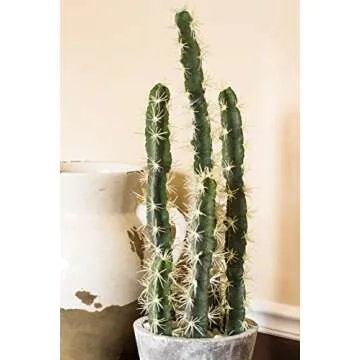 Nearly Natural Cactus Garden with Cement Planter - 27.5"