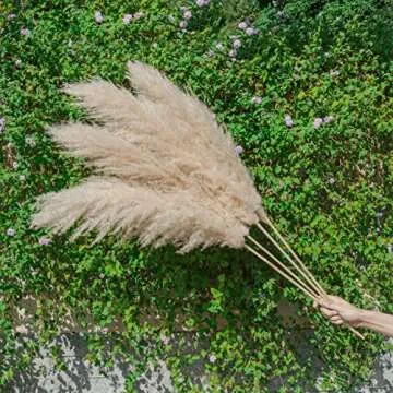 Fluffy Pampas Grass for Home Décor and Events