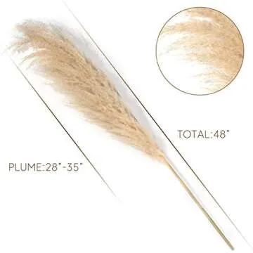 Fluffy Pampas Grass for Home Décor and Events