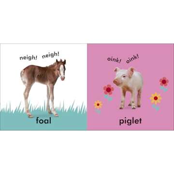 Baby Touch and Feel: Baby Animals