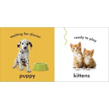 Baby Touch and Feel: Baby Animals